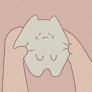 Meet your Posher, Alli